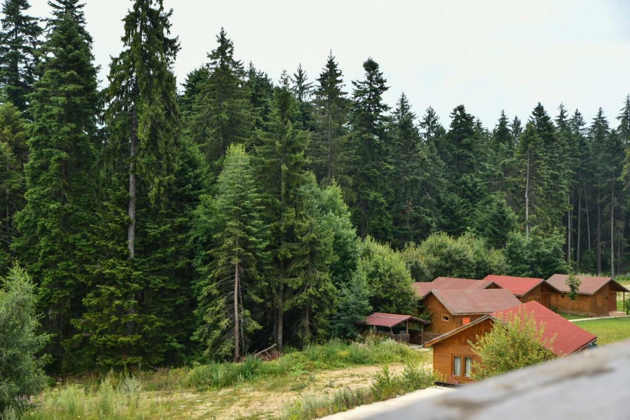 Iglika 2, V9 Appartement Borovets Buitenkant foto
